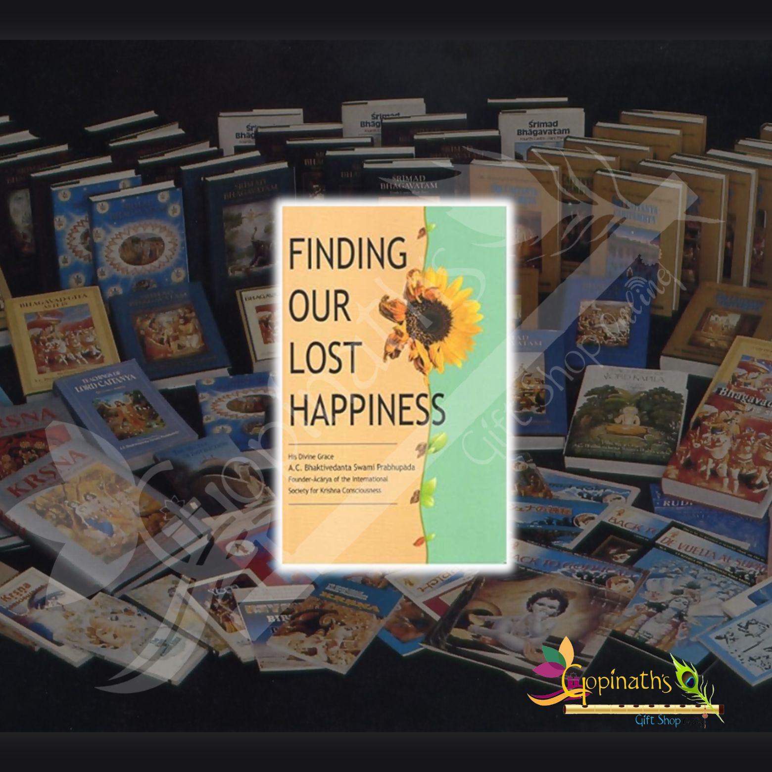 Finding Our Lost Happiness